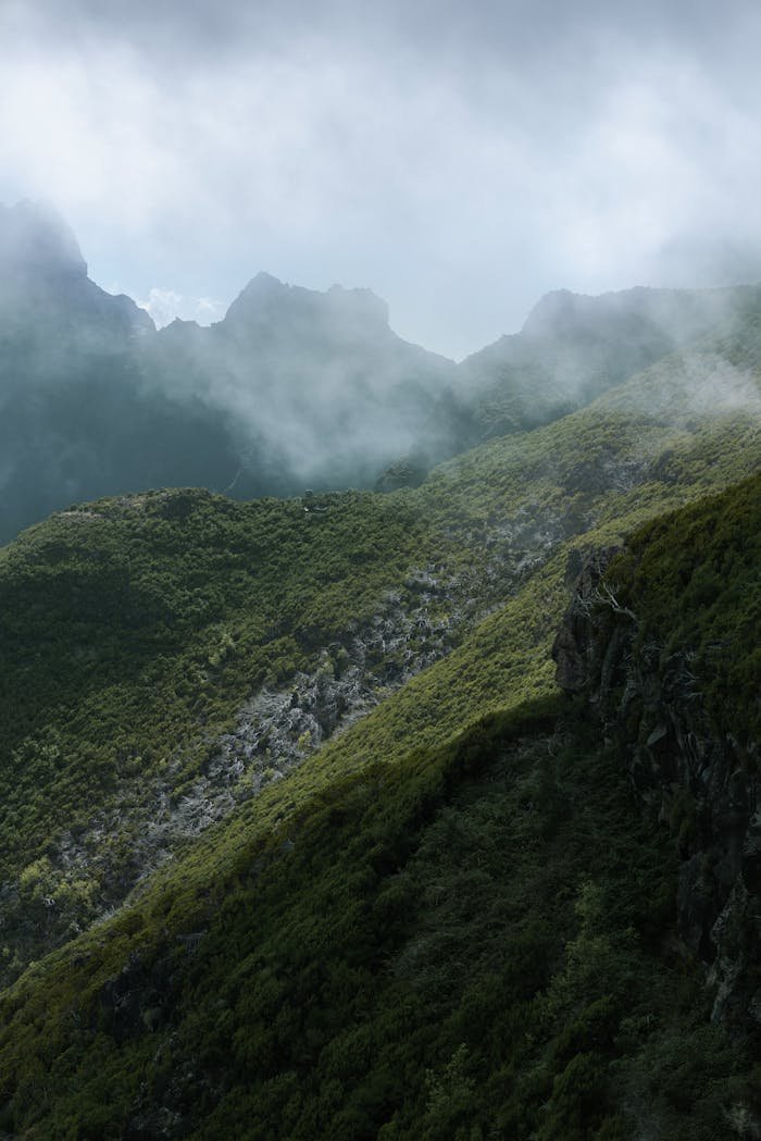 pexels photo 35074450.jpeg